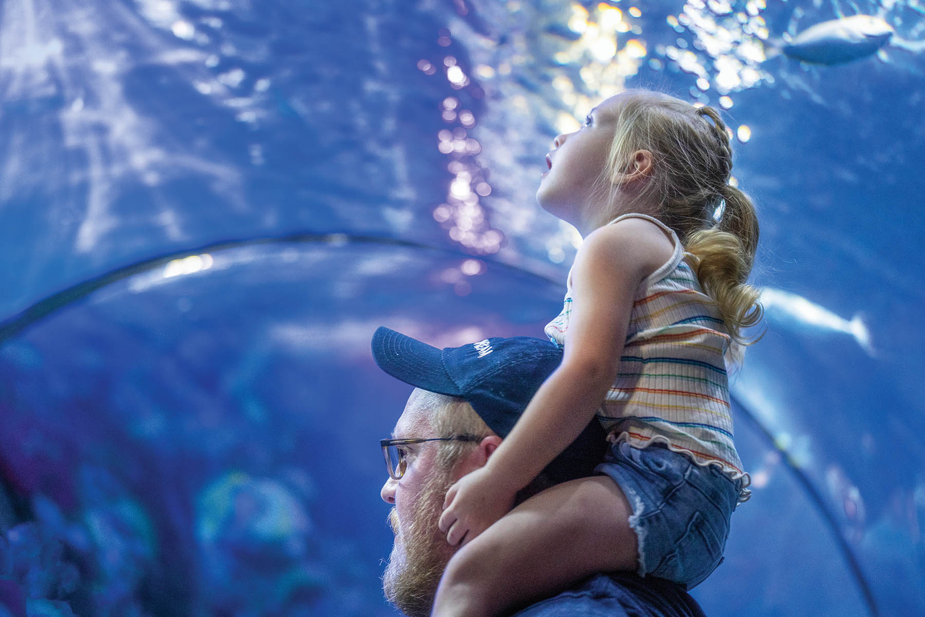 virginia beach aquarium