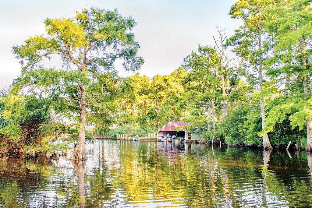 Back Bay Wildlife Refuge