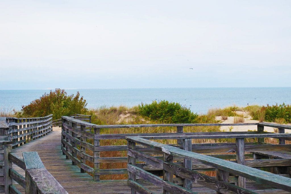 False Cape State Park in Virginia Beach