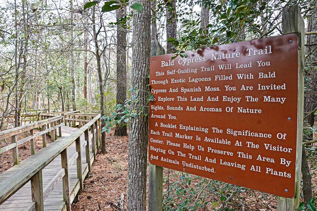 Virginia Beach hiking
