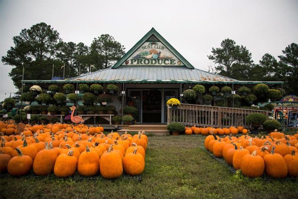 Virginia Beach pumpkin farm