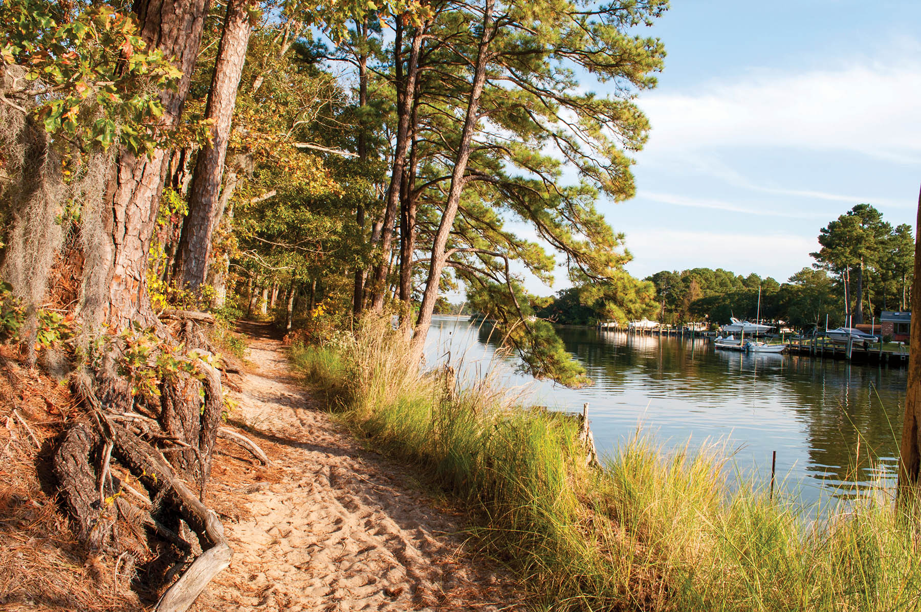 First Landing State Park Trail